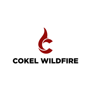 Logo Design by excotica™