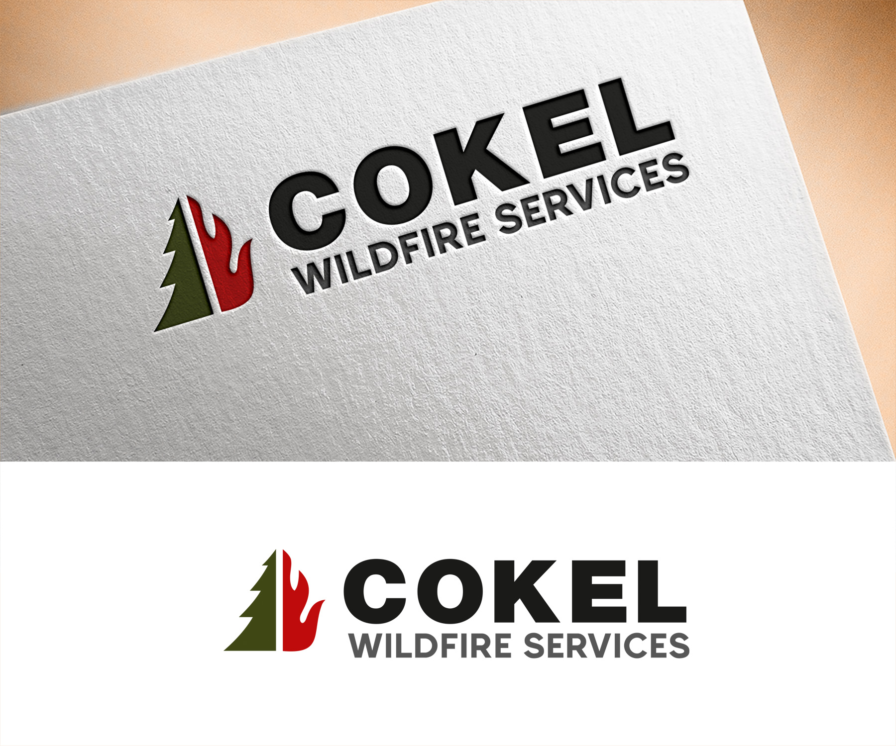 Design de Logo par Vishak vasu pour ce projet | Design #35814787