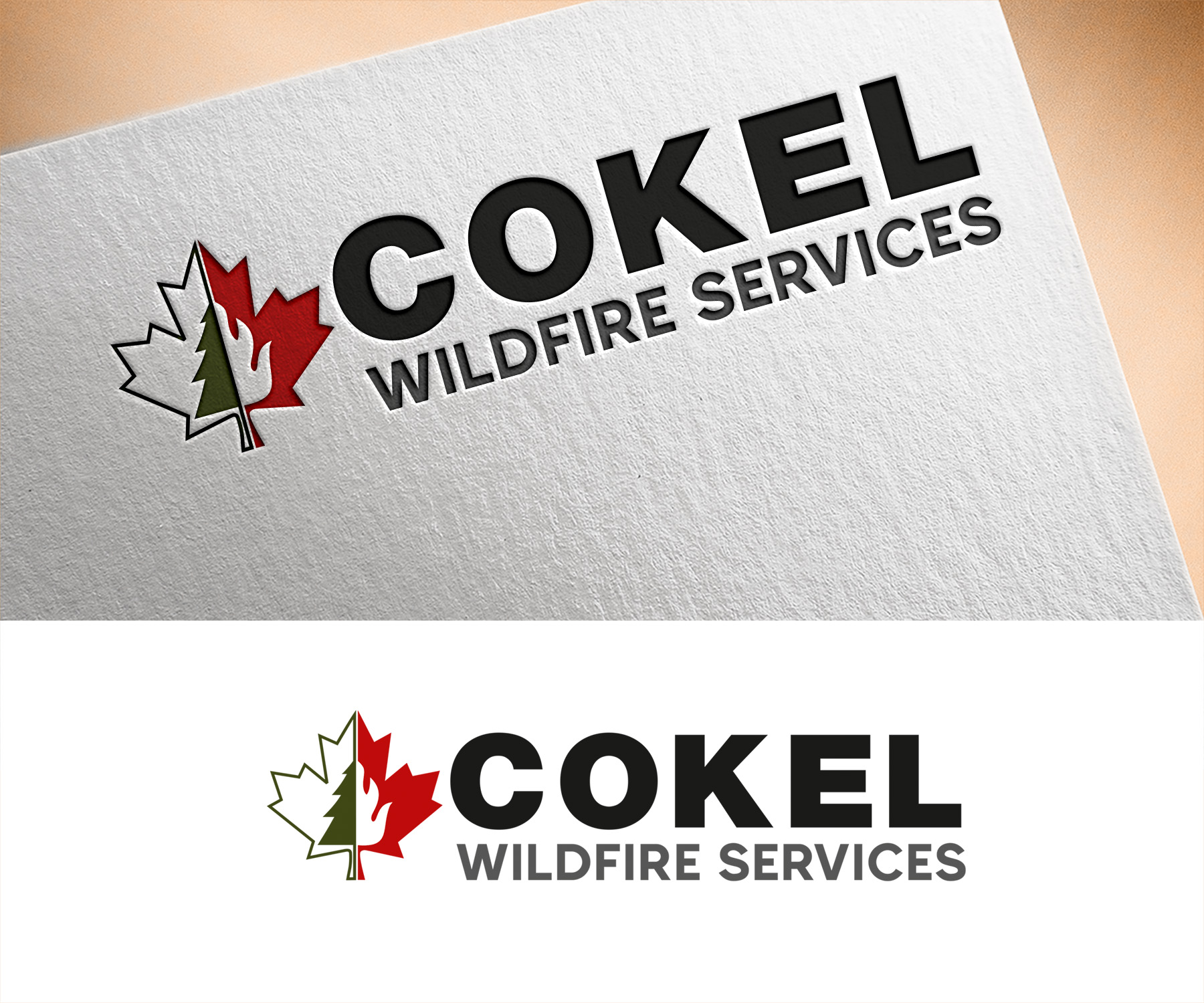 Logo Design by Vishak vasu for this project | Design #35814796