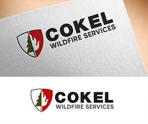 Logo Design by Vishak vasu