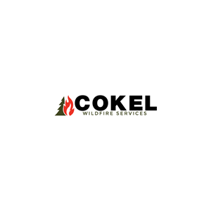 Logo Design by maruf12