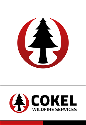 Logo Design by MALIK CREATIVE MEDIA