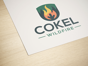Diseño de Logo por PixelCraft Designs para este proyecto | Diseño: #35801682
