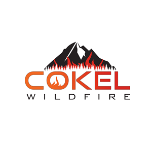 Logo Design by Sanwariya Design