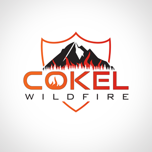 Logo Design by Anup Innovations for this project | Design: #35800509