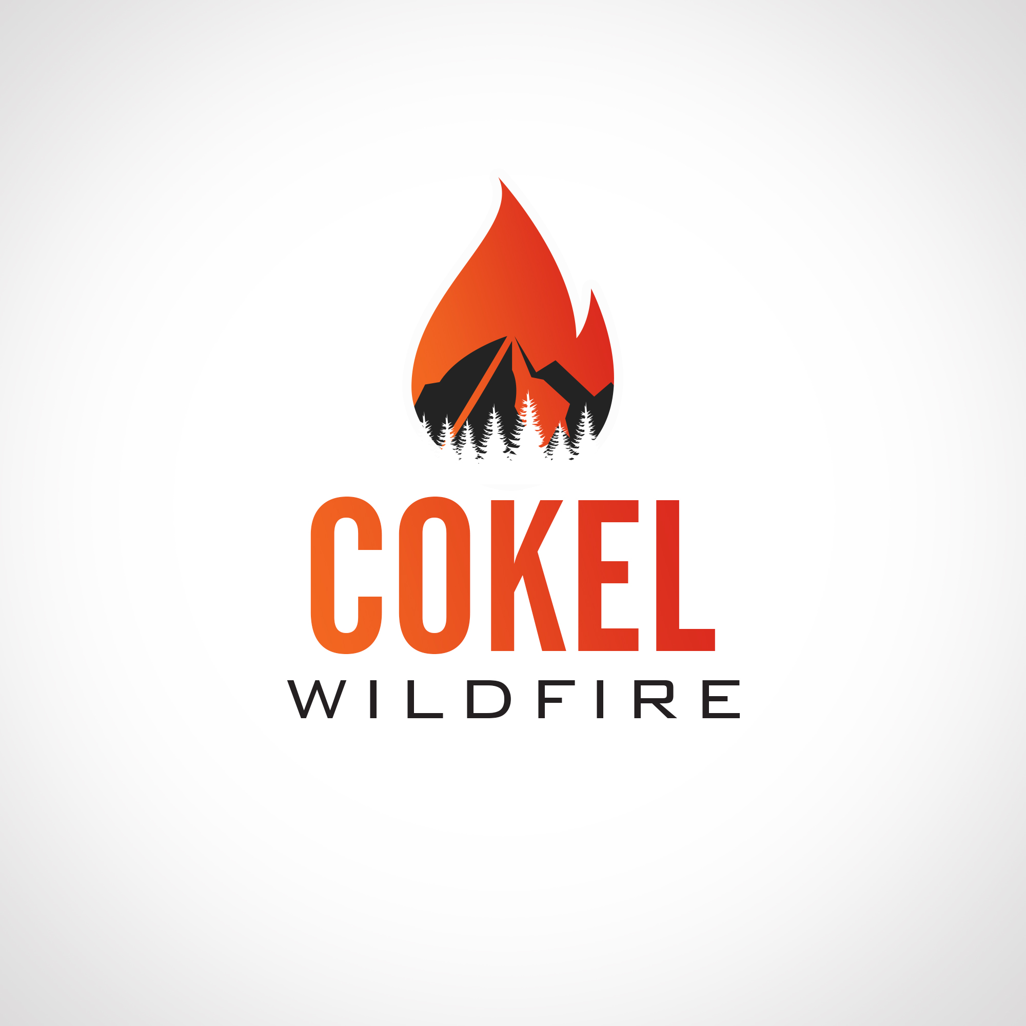 Logo Design by Anup Innovations for this project | Design #35800510