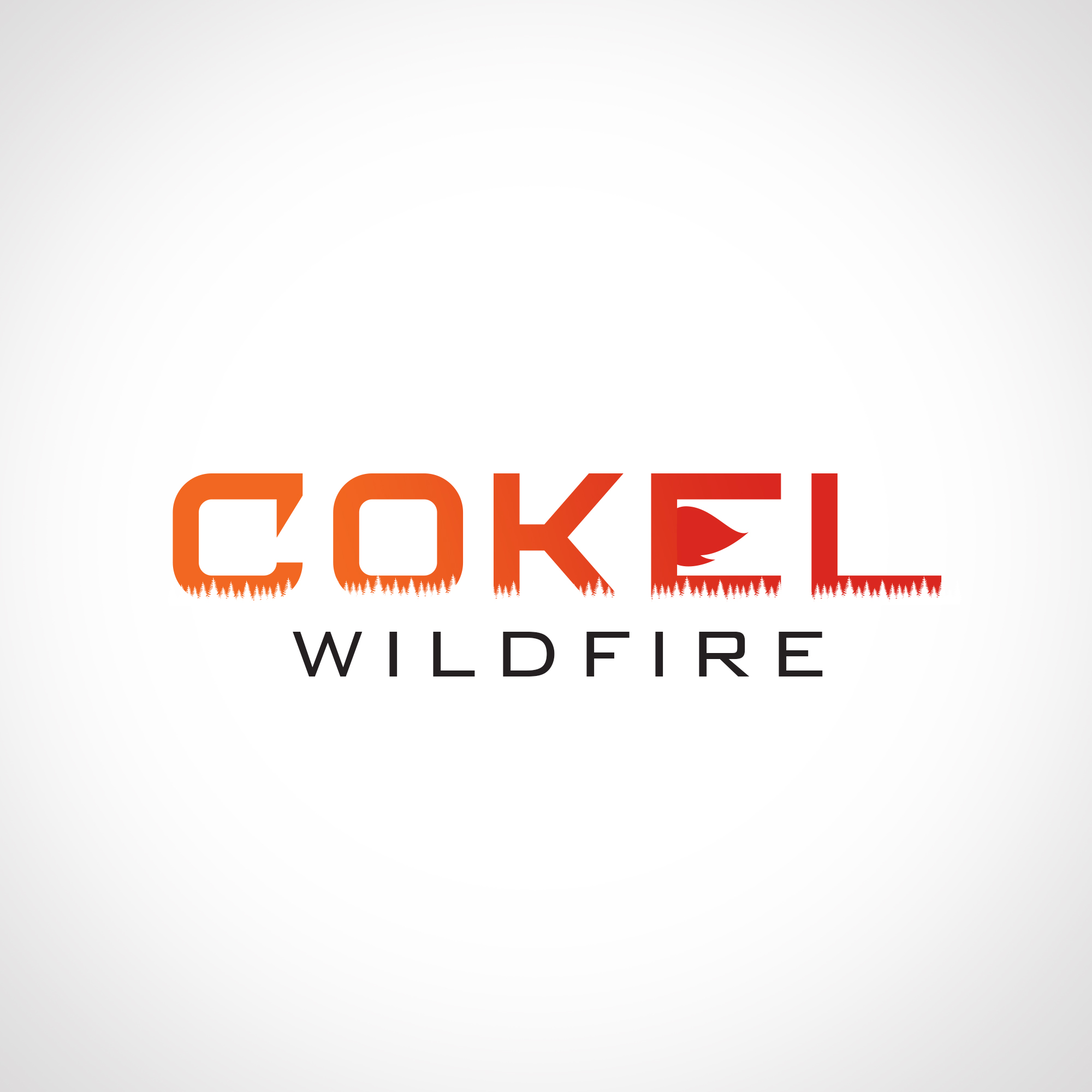 Logo Design by Anup Innovations for this project | Design #35800511