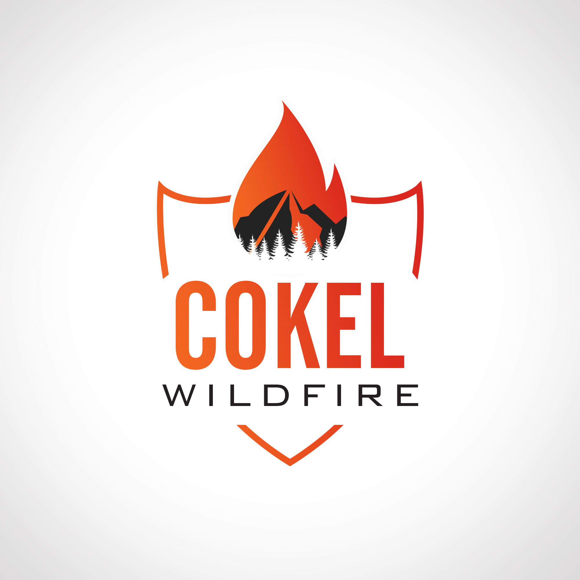 Logo Design by Anup Innovations for this project | Design #35800512