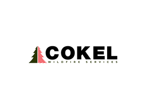Logo Design by milan12 2