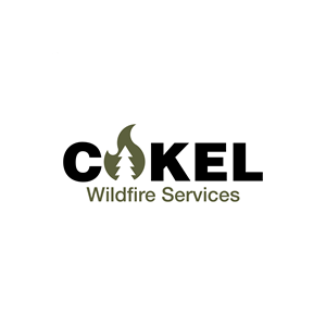Logo Design by Vertikus