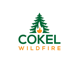 Logo Design by Loin008
