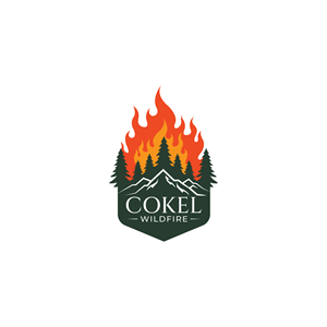 Logo Design by Sharmin Akter Shibli