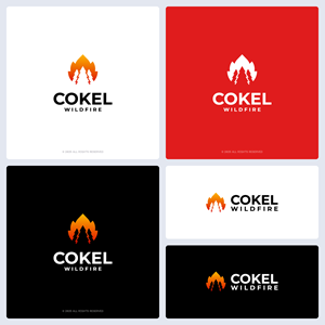 Logo Design by san_D