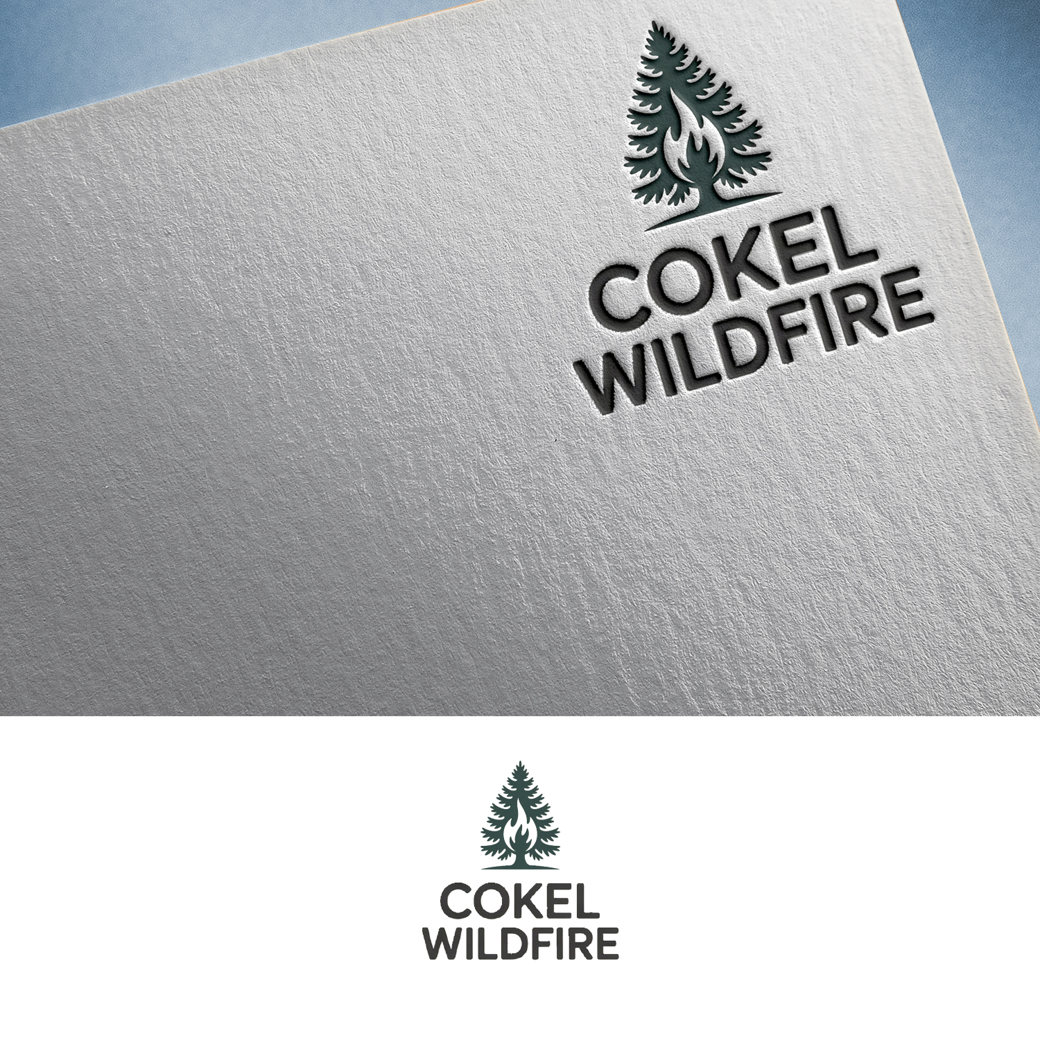 Logo Design by Feni:) for this project | Design #35801443