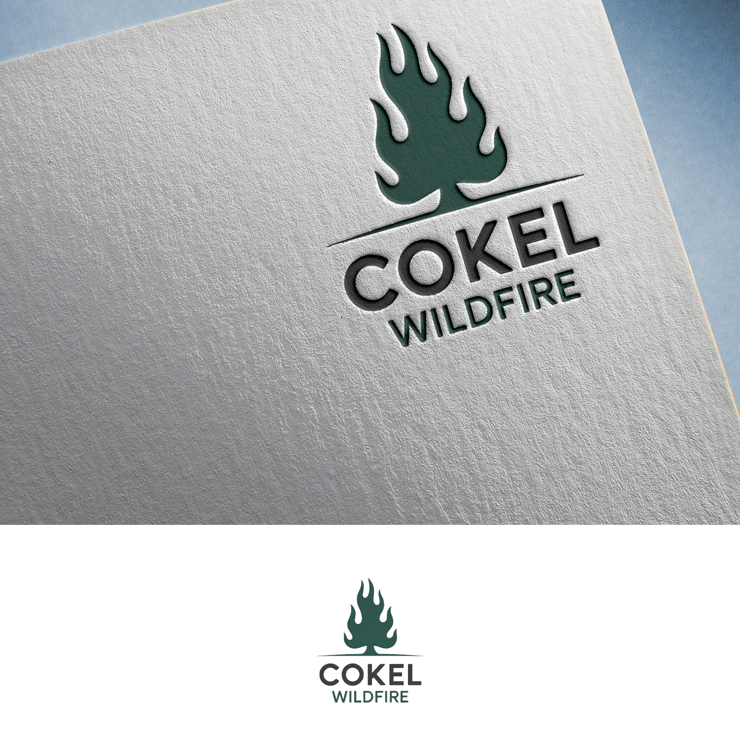 Logo Design by Feni:) for this project | Design #35801445