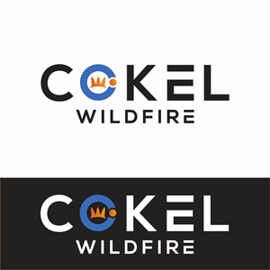 Logo Design by vidarshana 2 for this project | Design: #35804680