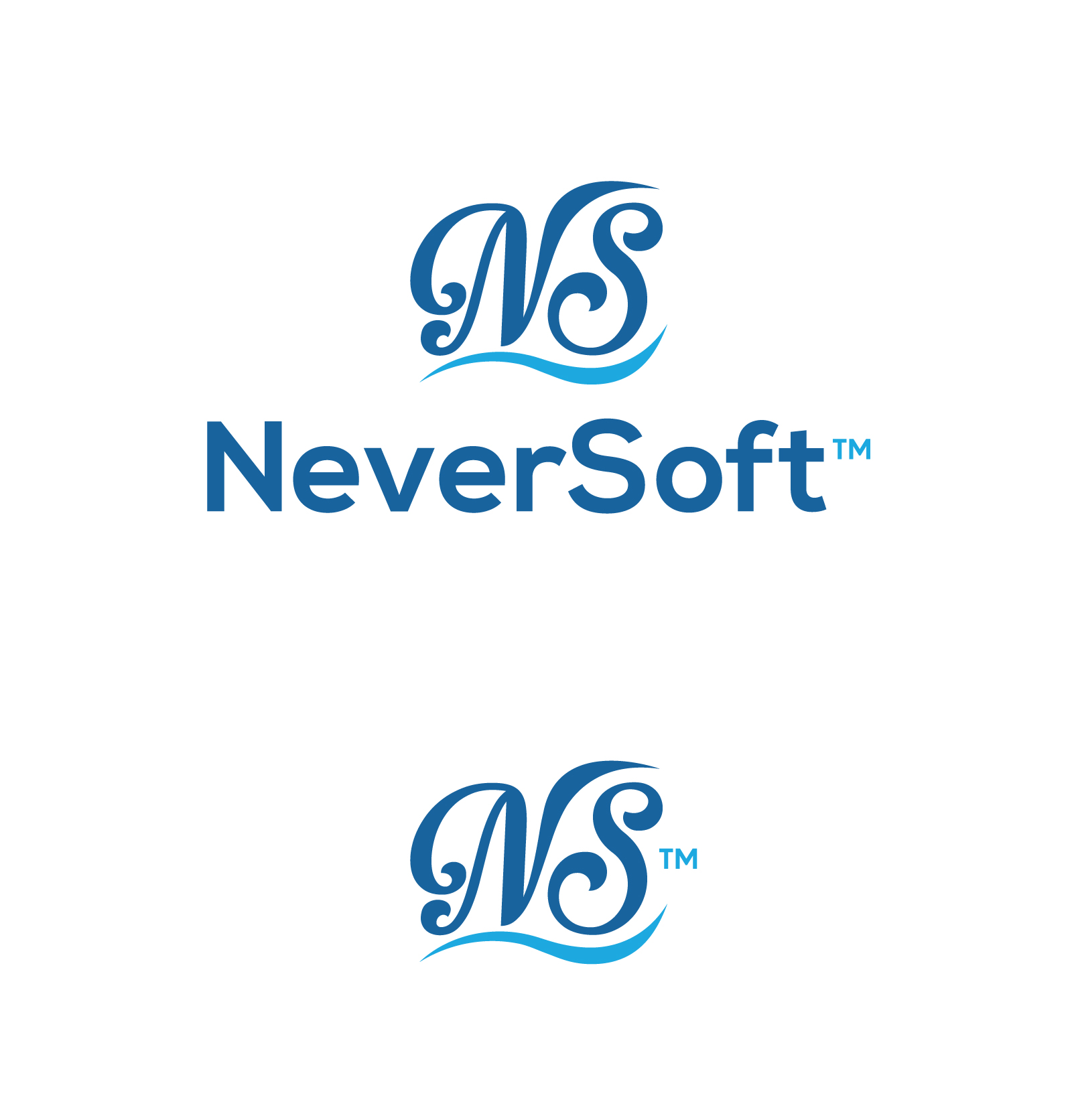 Design de Logo par Rubia@ pour CSE Marine Products | Design #35806053