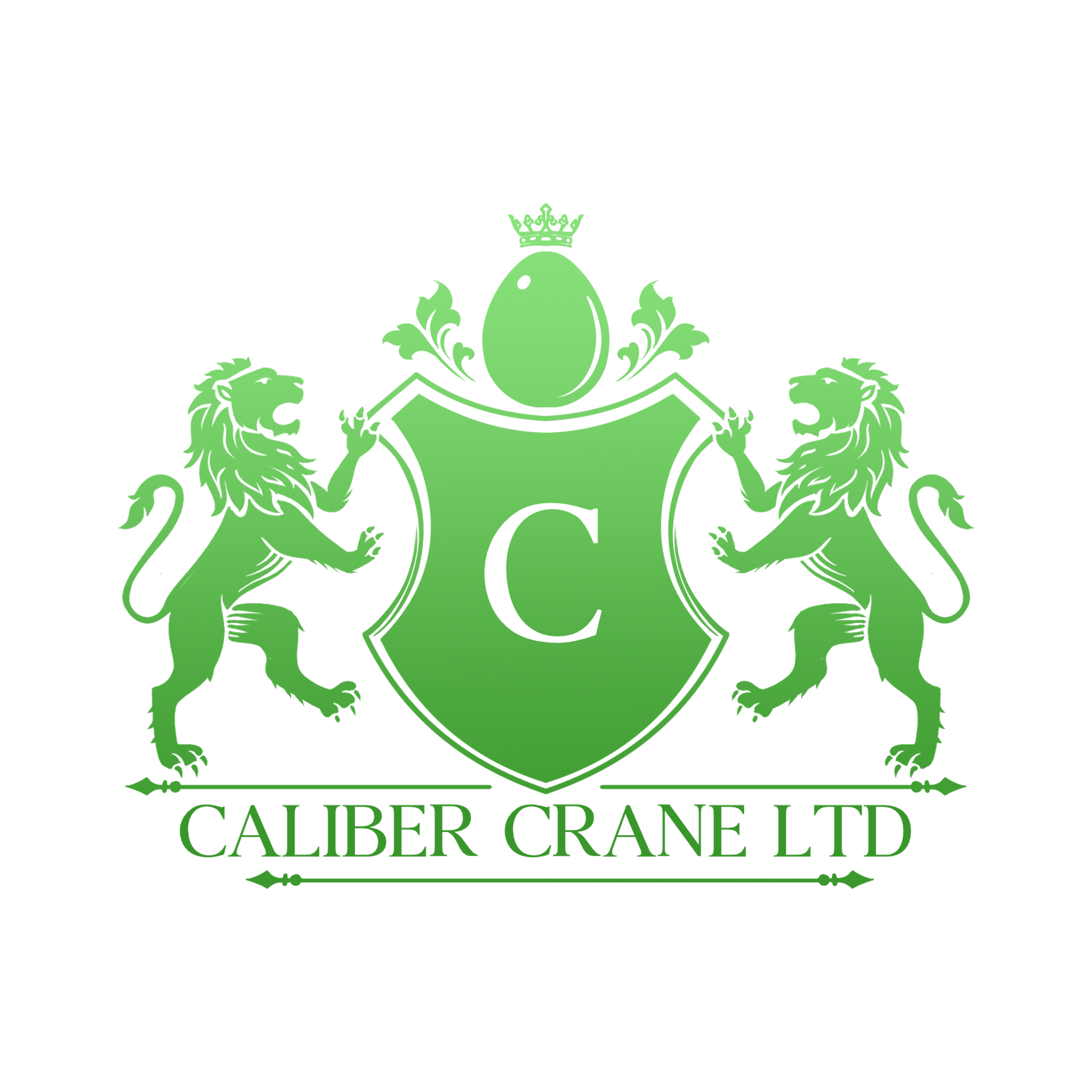 Graphic Design by Fortunate Studio for Caliber Crane Ltd  | Design #35808323