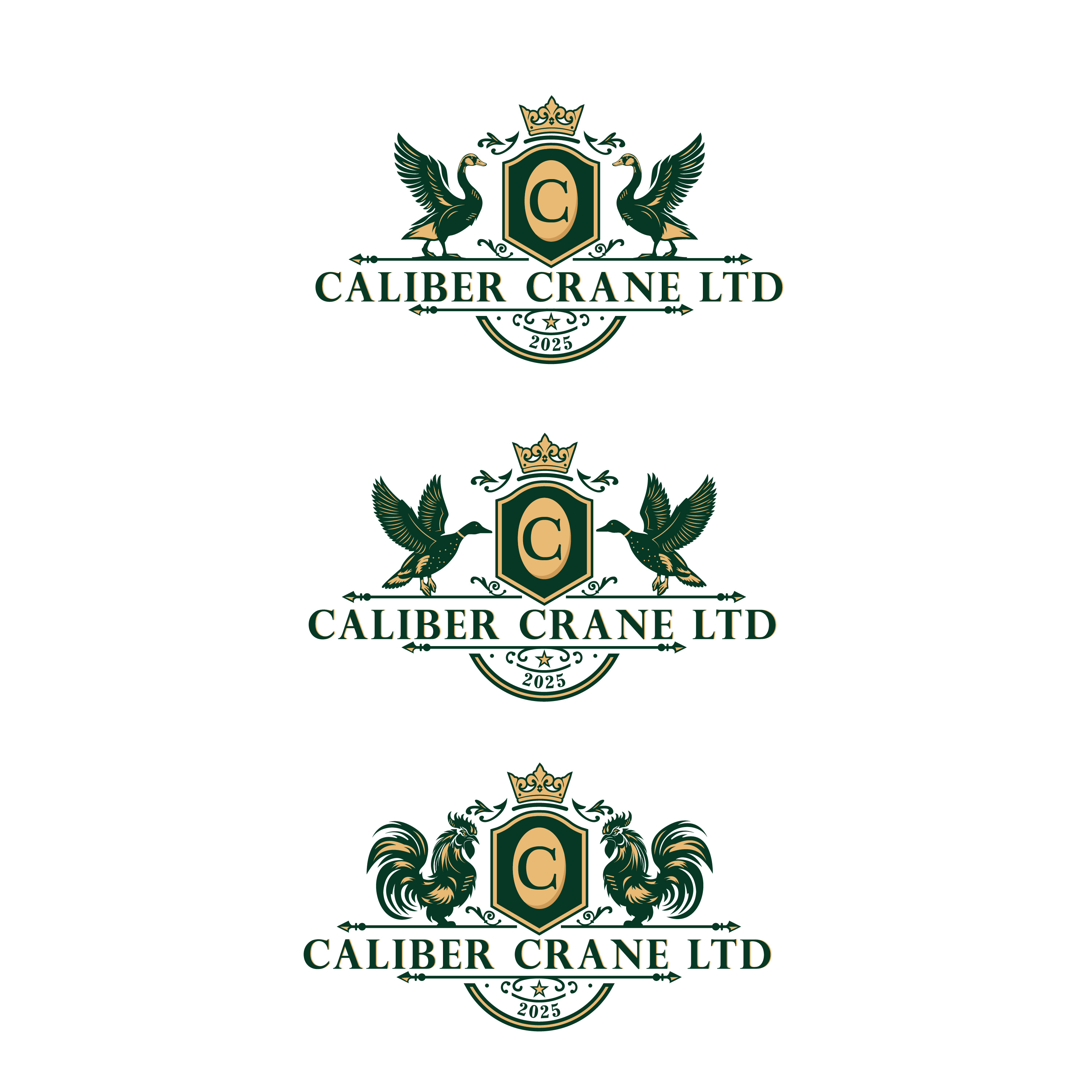 Design Graphique par bethmage janaka pour Caliber Crane Ltd  | Design #35814771