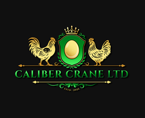 Graphic Design by designcircle for Caliber Crane Ltd  | Design: #35814420