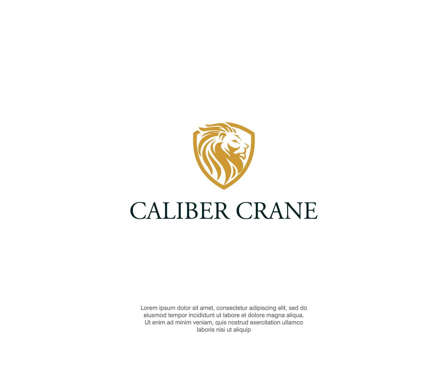 Graphic Design by ThiagoB for Caliber Crane Ltd  | Design #35806090