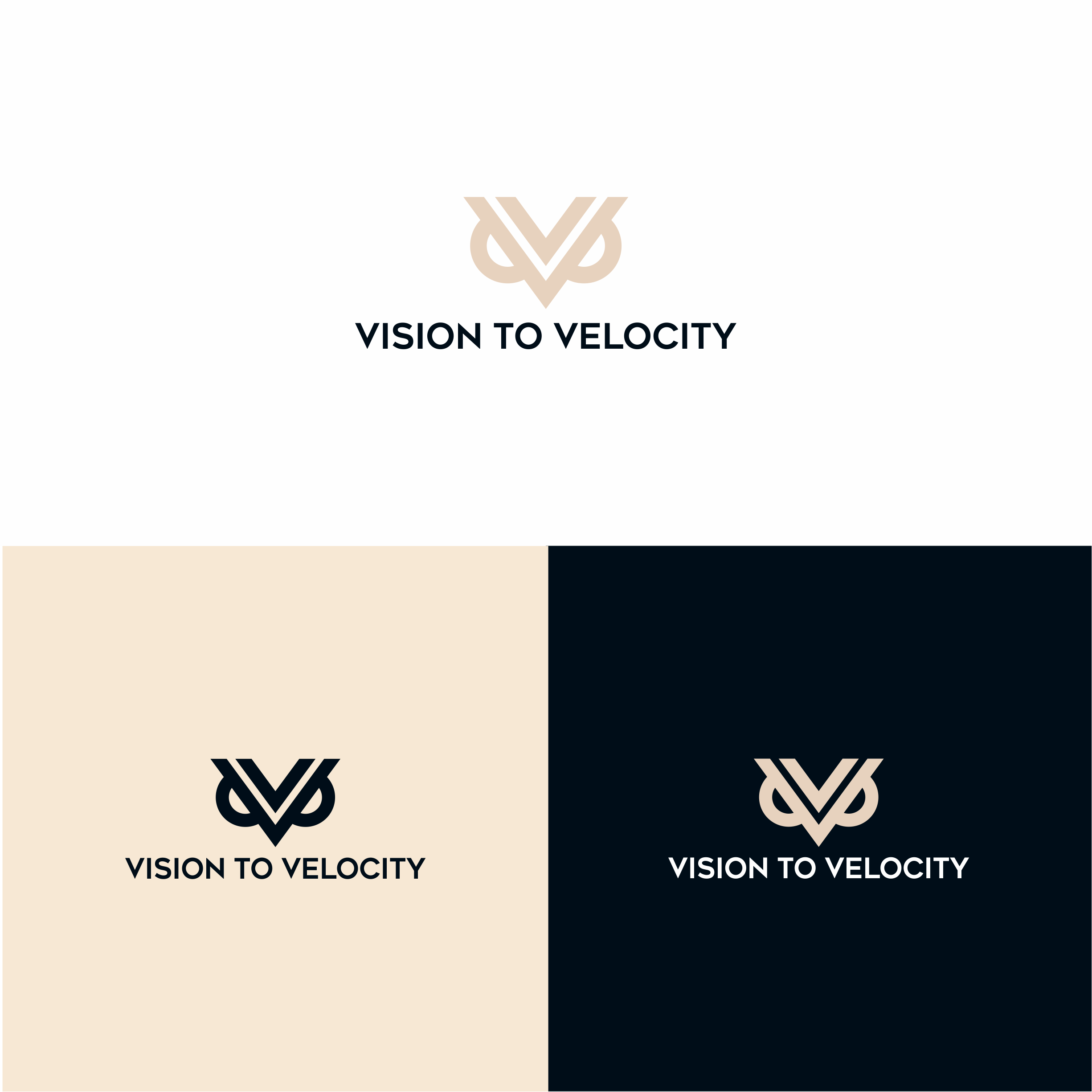 Design de Logo par melzh pour Vision to Velocity | Design #35831417