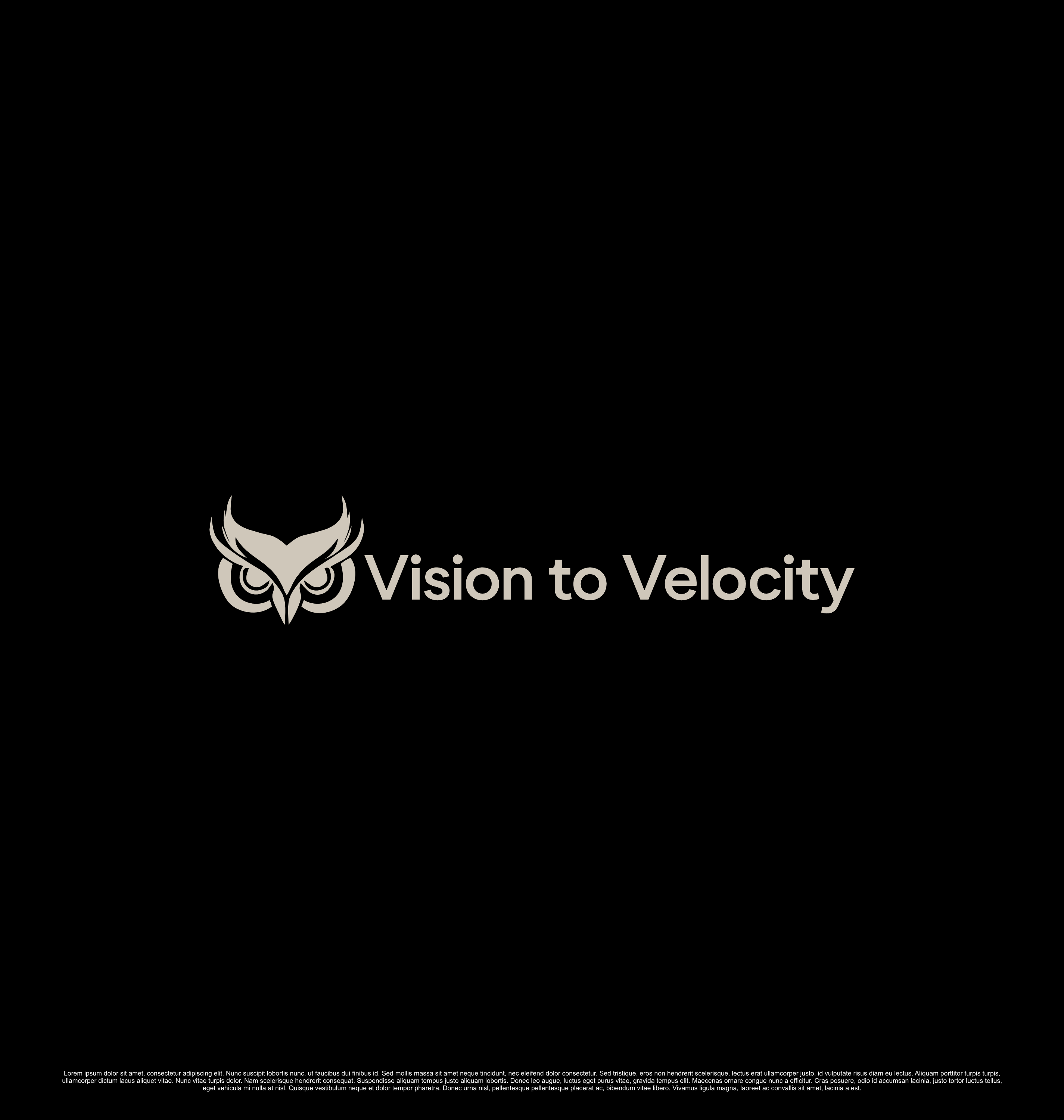 Logo Design by saesean for Vision to Velocity | Design #35809559