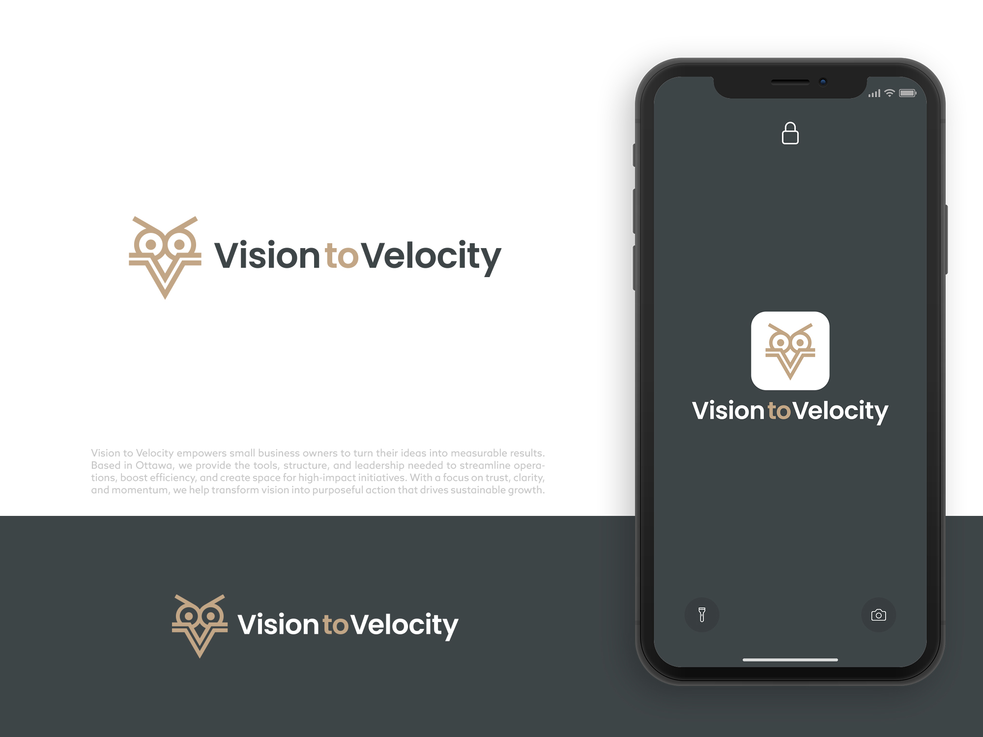Logo Design by COLOUR CREATIVE for Vision to Velocity | Design #35826436