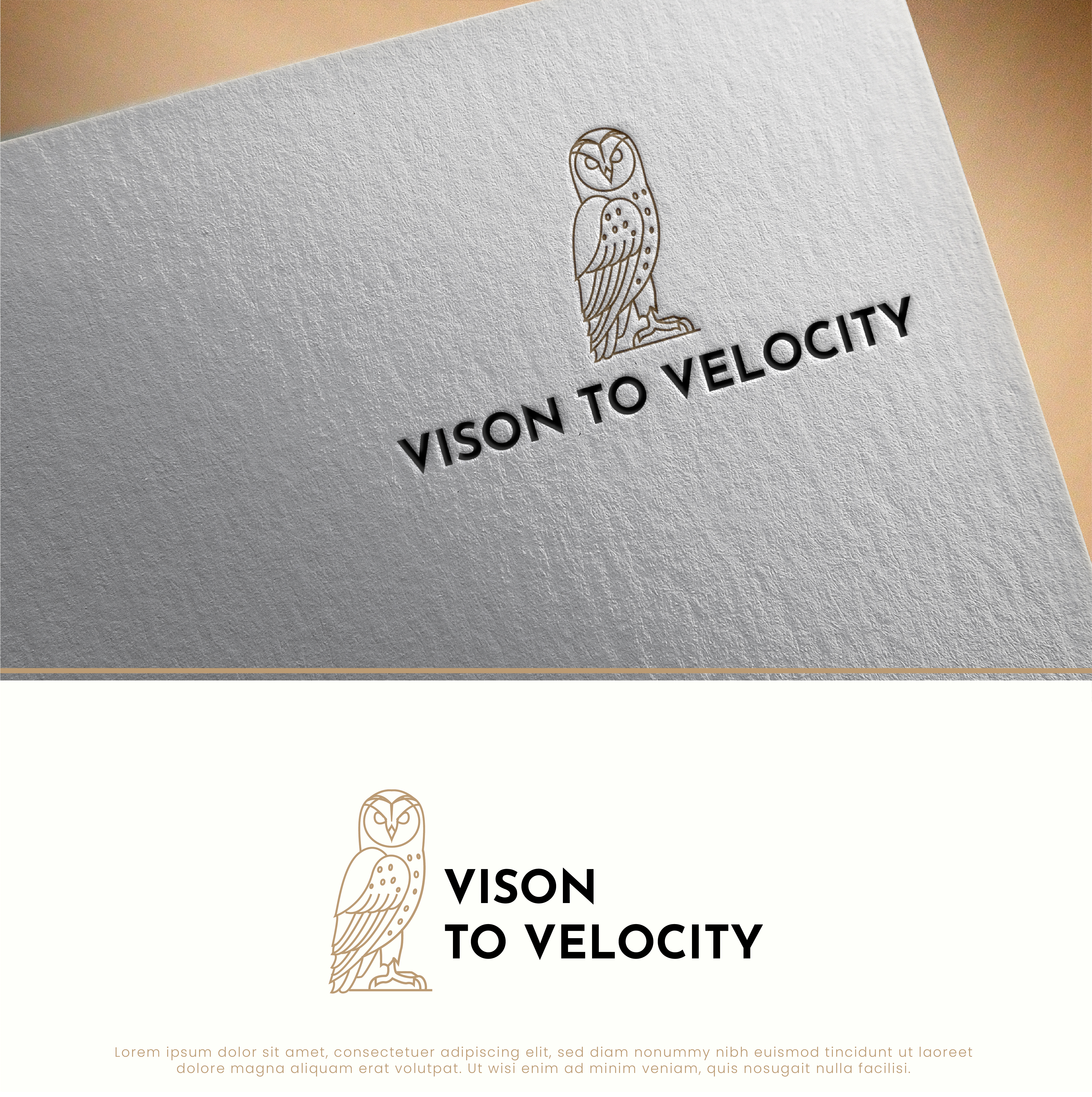 Design de Logo par Jaye95 pour Vision to Velocity | Design #35845867