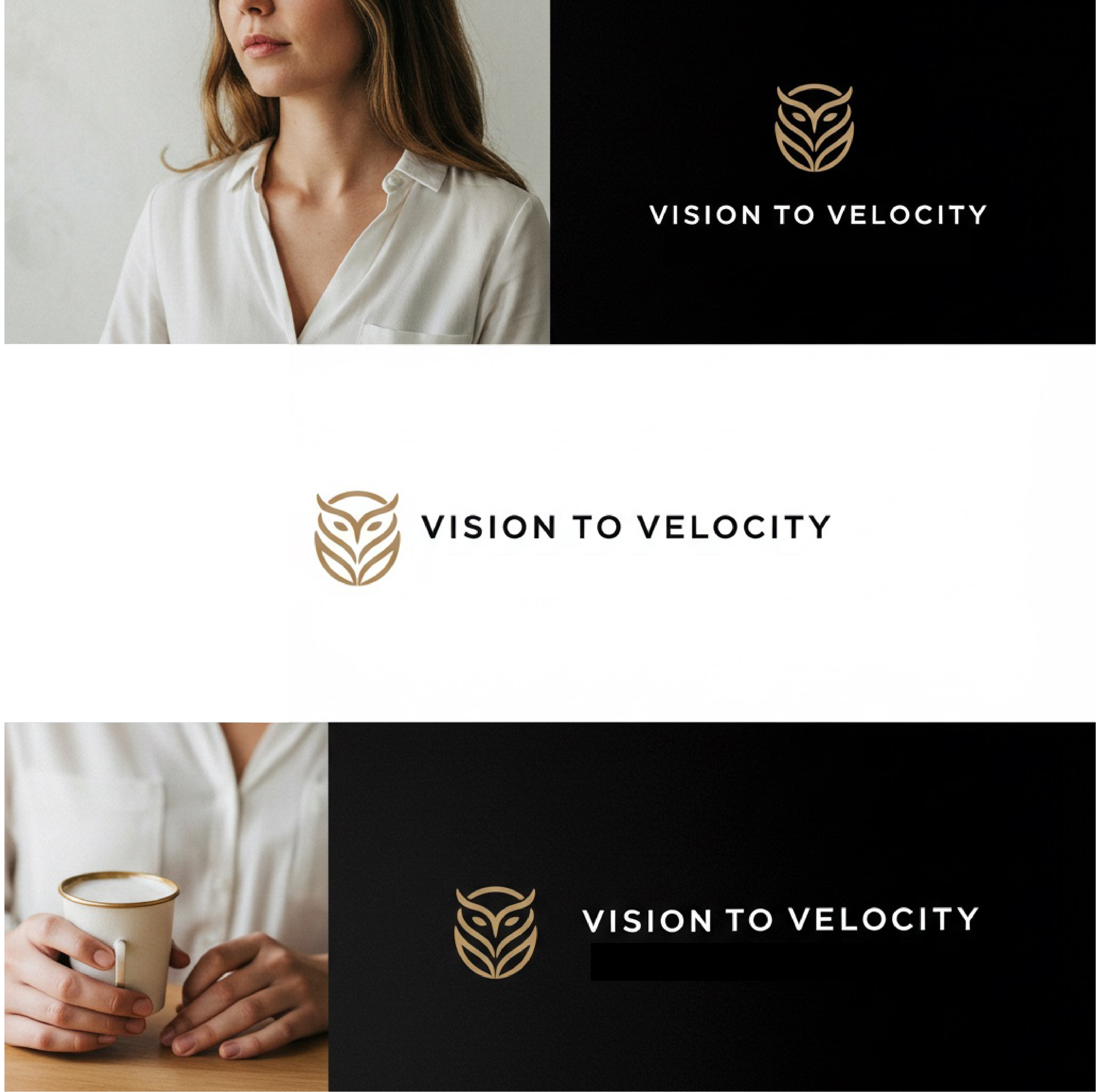 Design de Logo par Jaye95 pour Vision to Velocity | Design #35845874