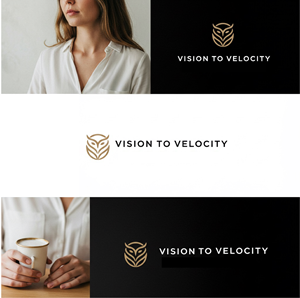 Design de Logo par Jaye95 pour Vision to Velocity | Design : #35845874