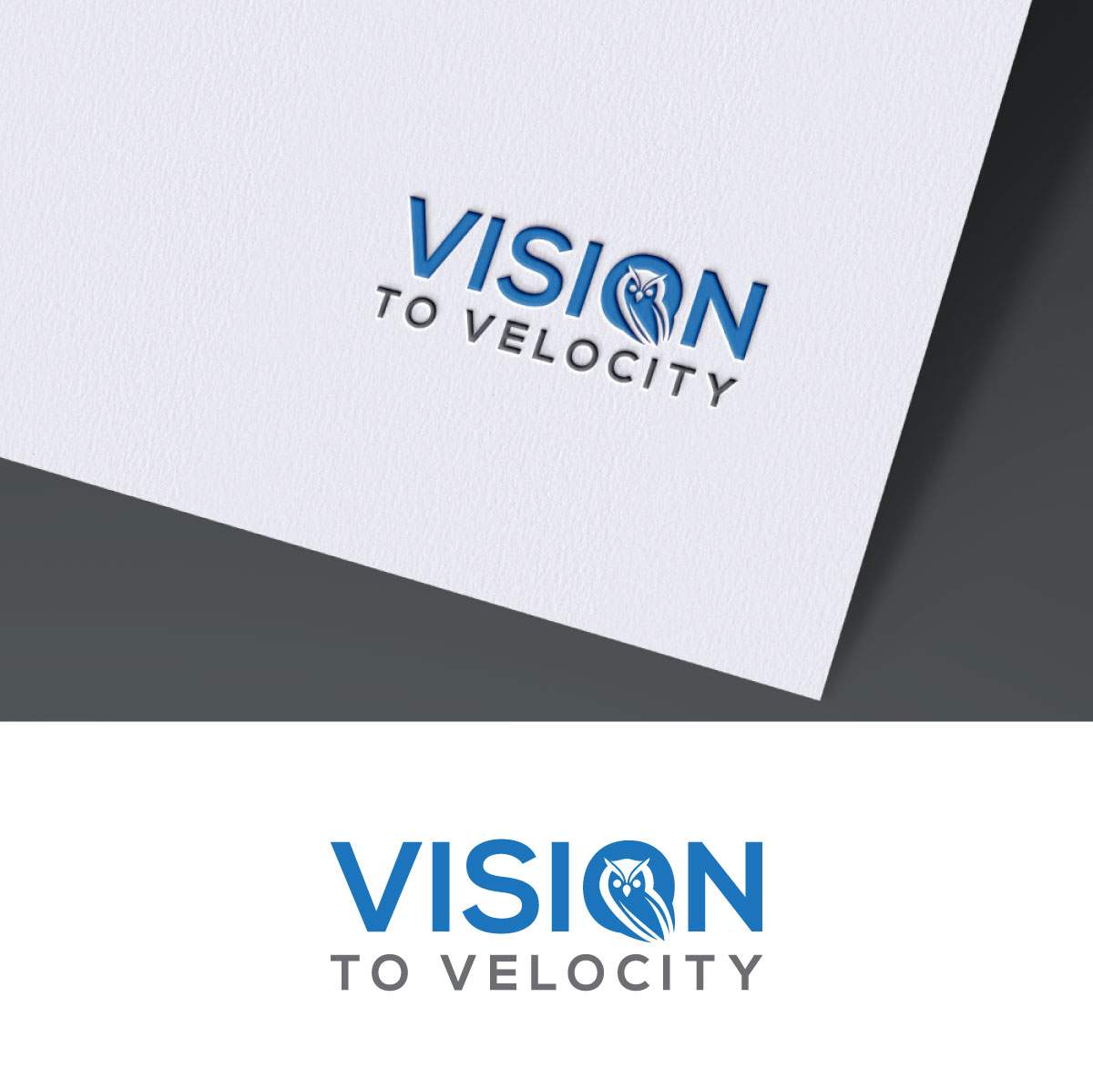 Diseño de Logo por Climax-pro para Vision to Velocity | Diseño #35806417