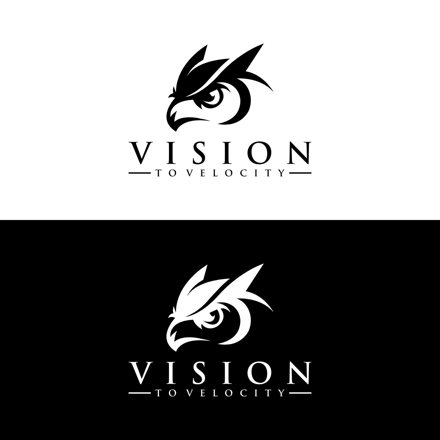 Logo Design by healer1617 for Vision to Velocity | Design #35806279