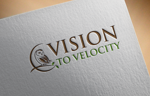 Design de Logo par niajul hok pour Vision to Velocity | Design : #35816959