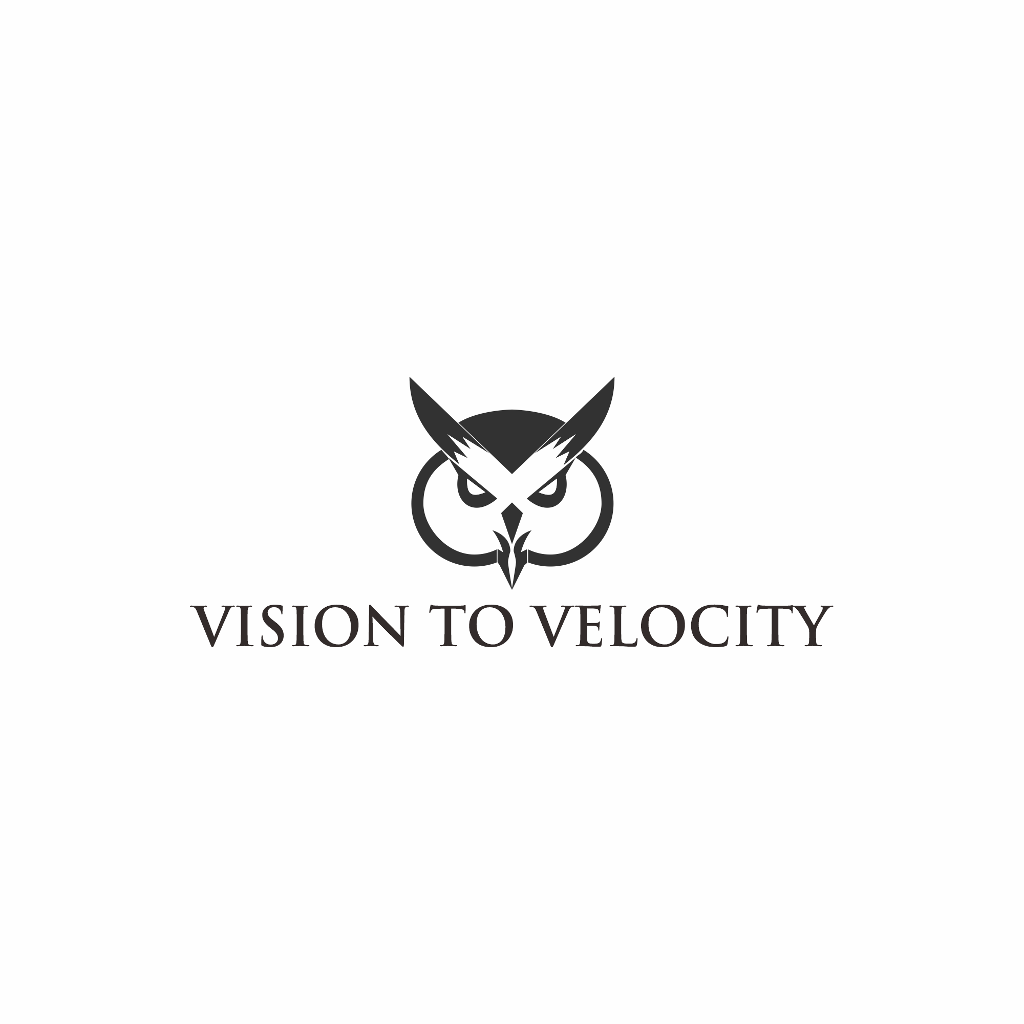 Logo Design by Dita afiyanti for Vision to Velocity | Design #35823329