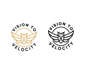 Logo Design by Vishak vasu for Vision to Velocity | Design: #35842645