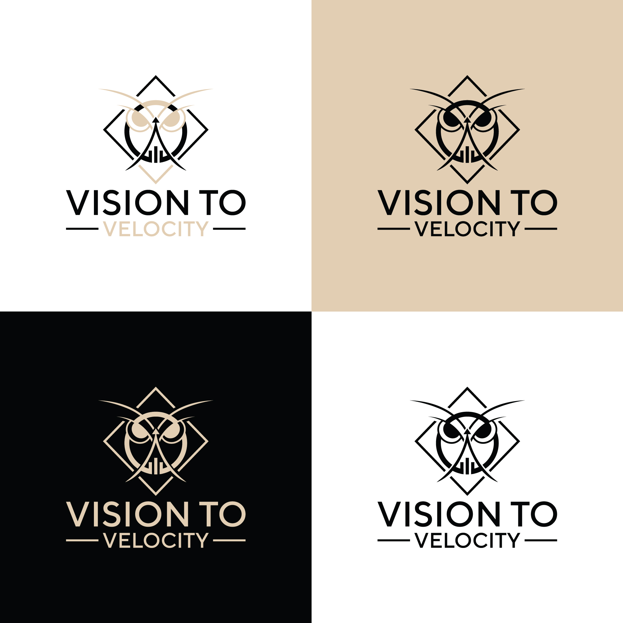 Logo Design by creativemood438 for Vision to Velocity | Design #35844645