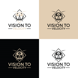 Logo Design by creativemood438 for Vision to Velocity | Design: #35844645