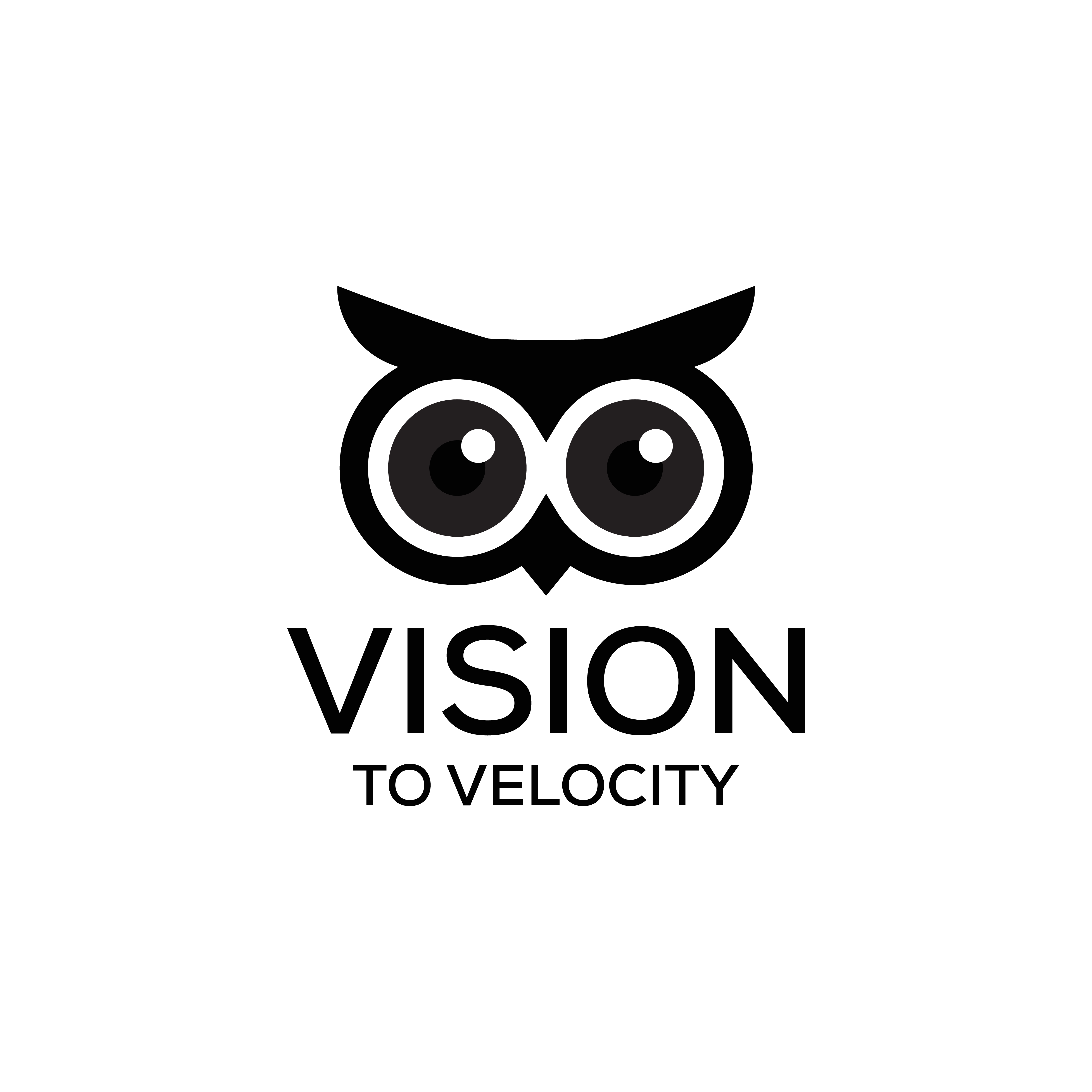 Diseño de Logo por ares artworx para Vision to Velocity | Diseño #35845154