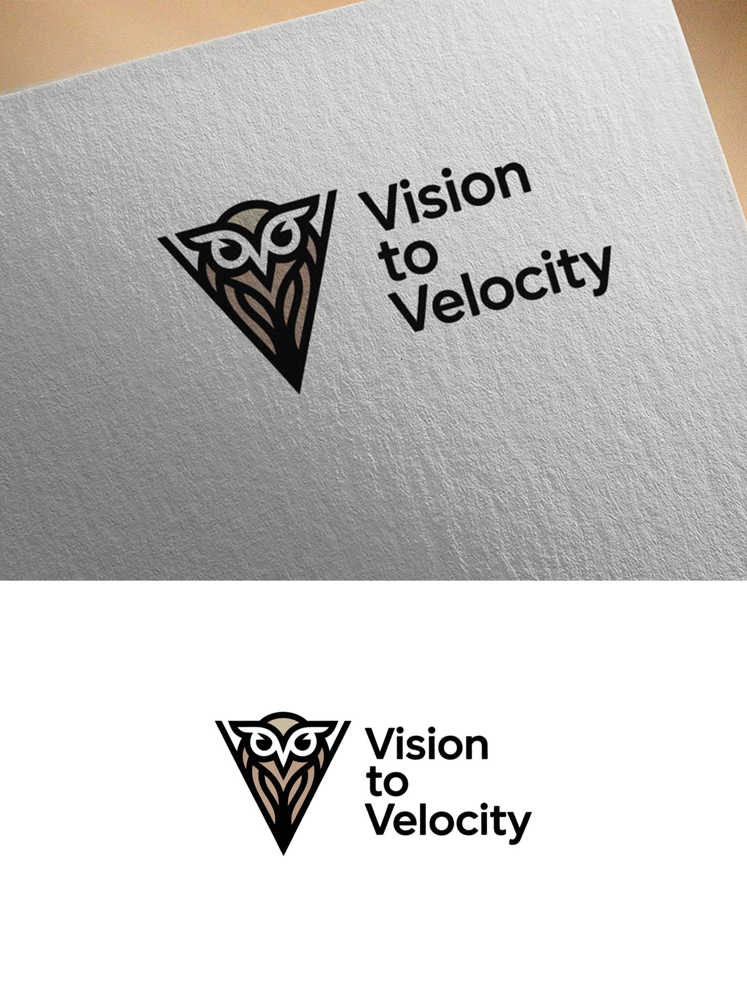 Logo-Design von Olivia Marie Smith für Vision to Velocity | Design #35846078