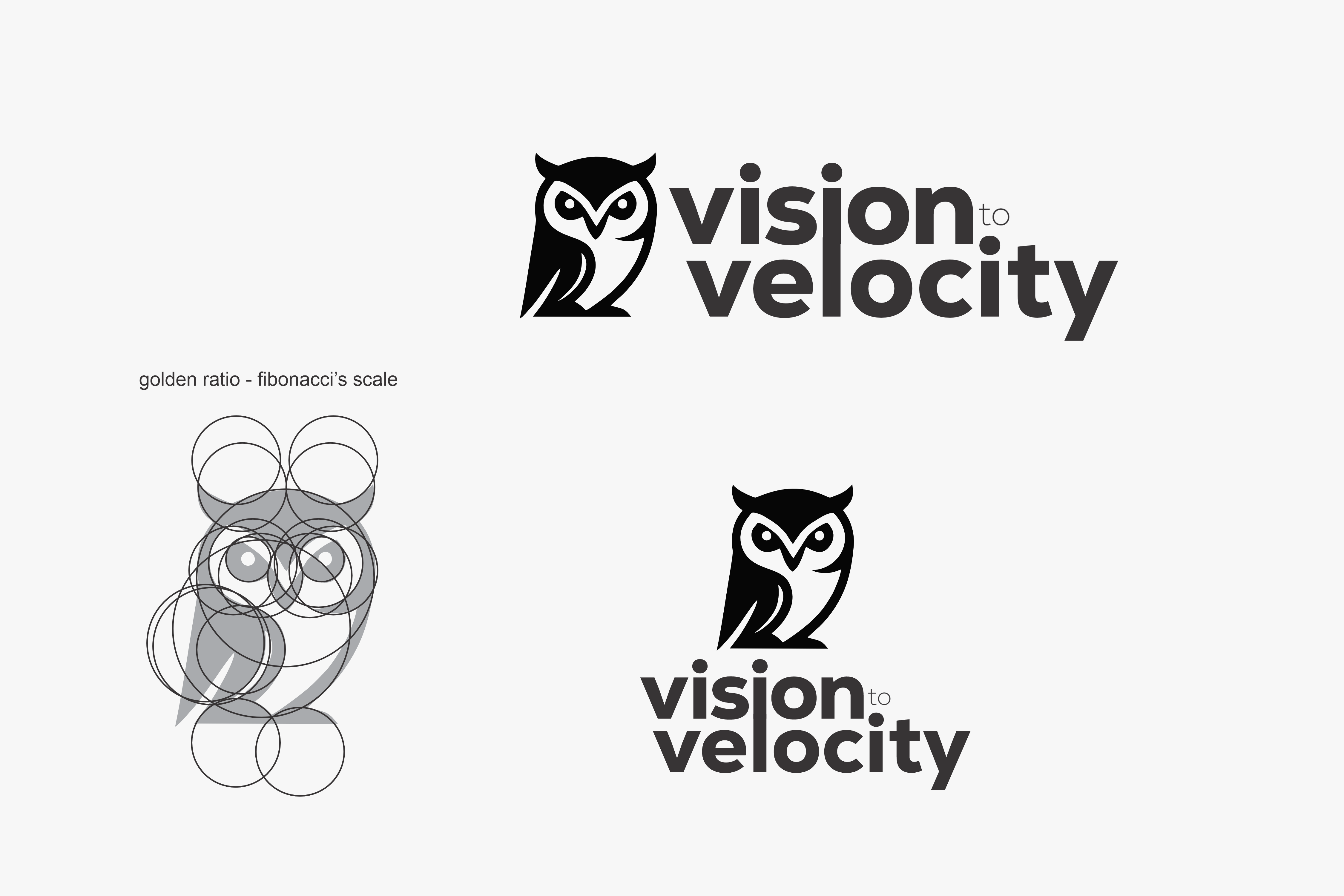 Diseño de Logo por NovaCriação para Vision to Velocity | Diseño #35819625