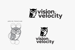 Design de Logo par NovaCriação pour Vision to Velocity | Design : #35819625