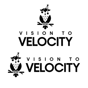 Design de Logo par MasMasDesign pour Vision to Velocity | Design : #35813306