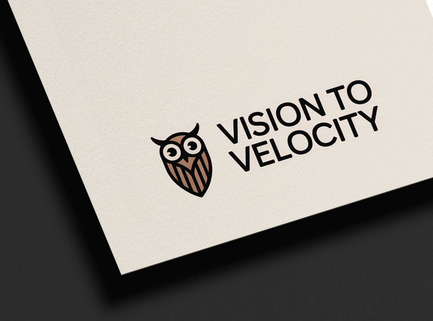Logo Design by evoke studio for Vision to Velocity | Design #35812842