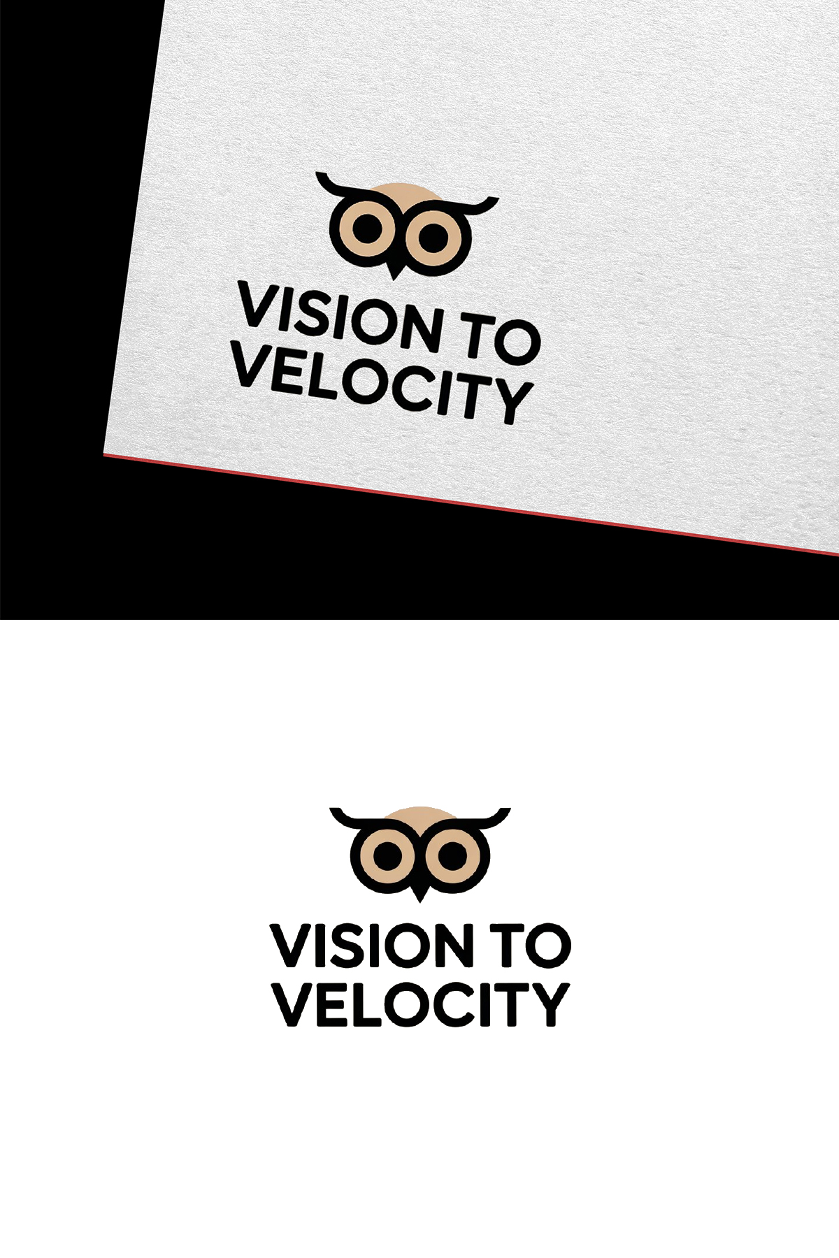 Diseño de Logo por GraphiqueLab para Vision to Velocity | Diseño #35815604