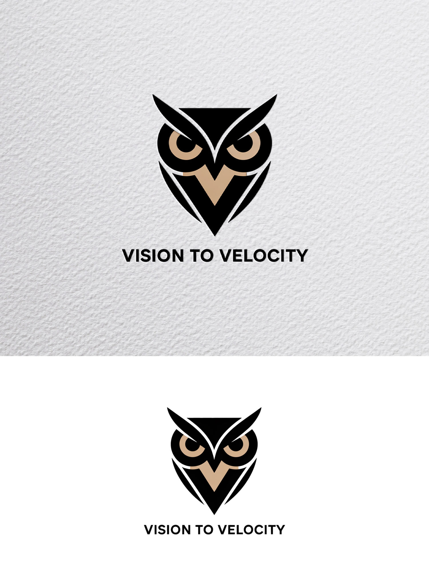 Logo Design by Being  Designer for Vision to Velocity | Design #35846136