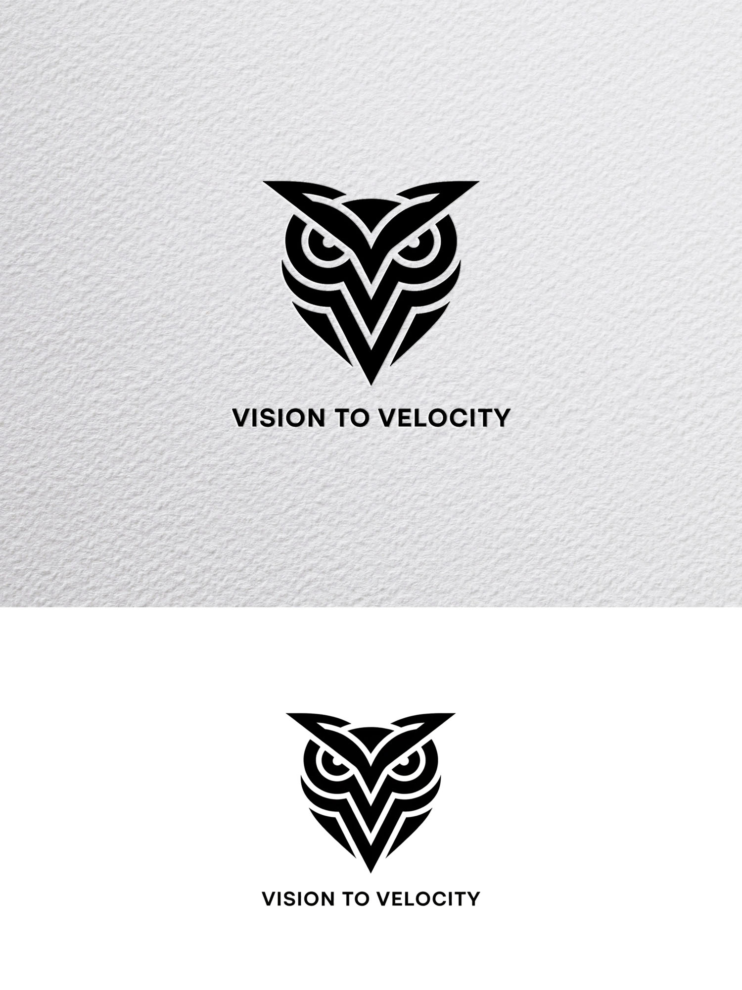 Diseño de Logo por Being  Designer para Vision to Velocity | Diseño #35846138