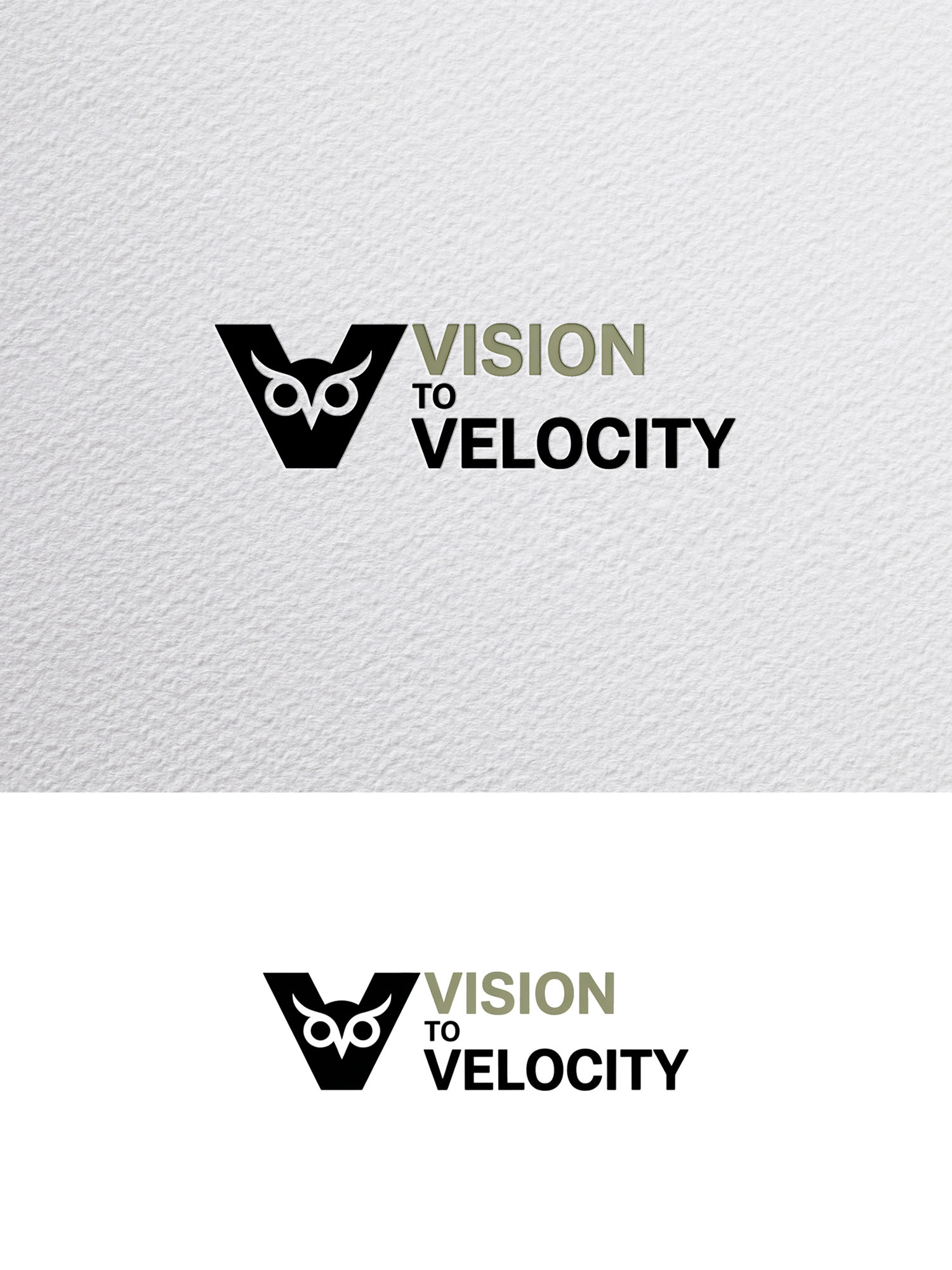 Diseño de Logo por Being  Designer para Vision to Velocity | Diseño #35846139