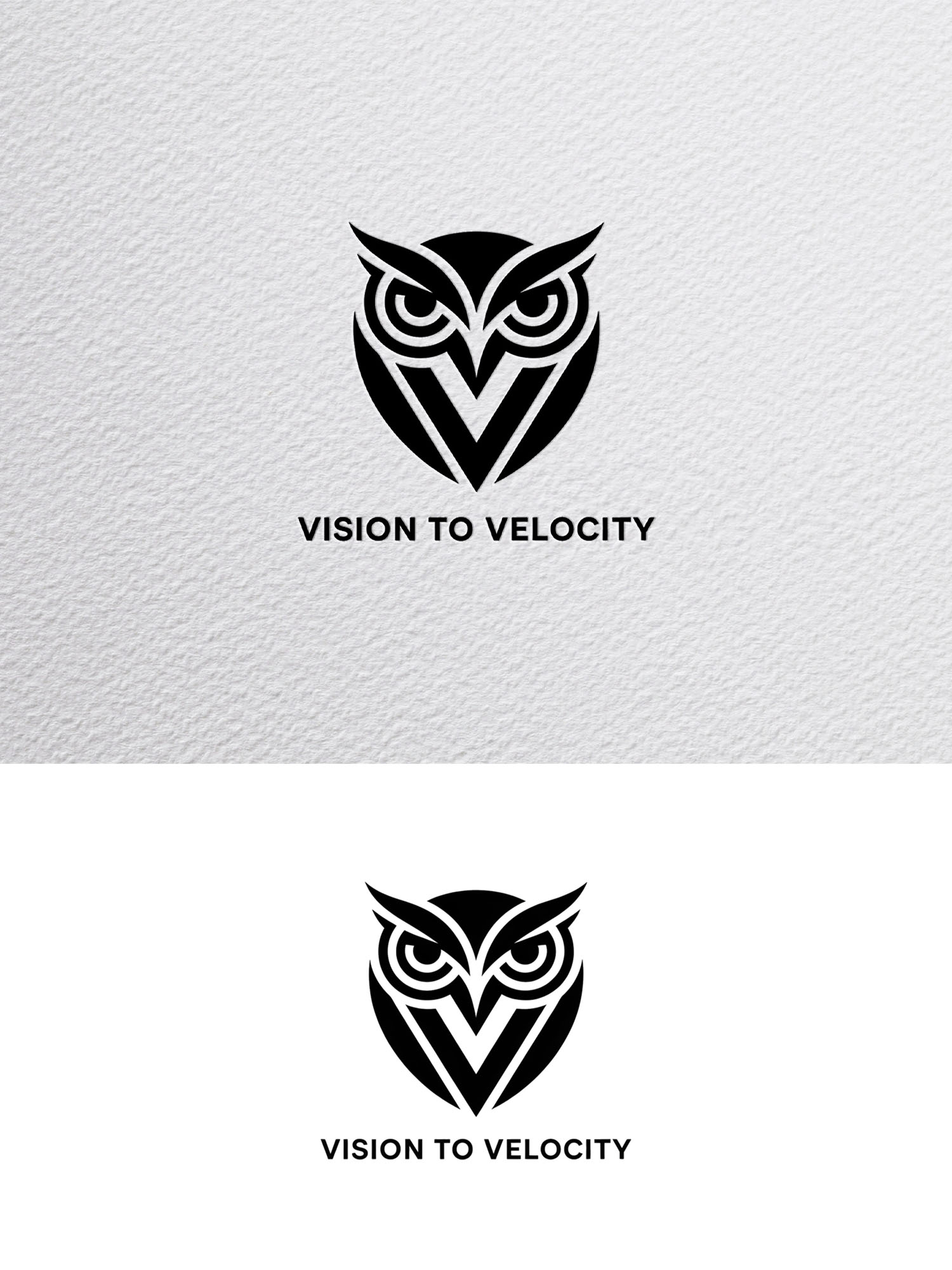 Diseño de Logo por Being  Designer para Vision to Velocity | Diseño #35846140