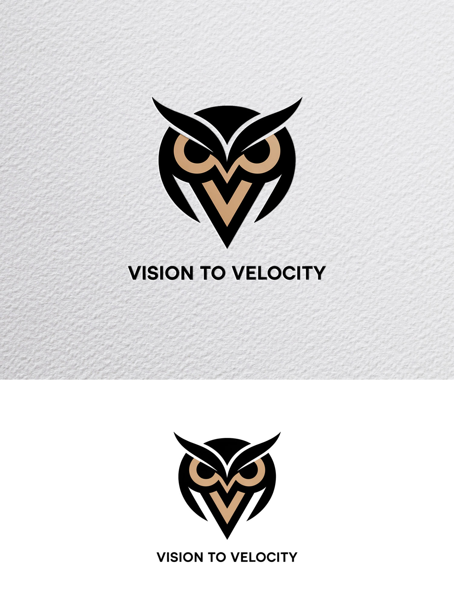 Logo Design by Being  Designer for Vision to Velocity | Design #35846142